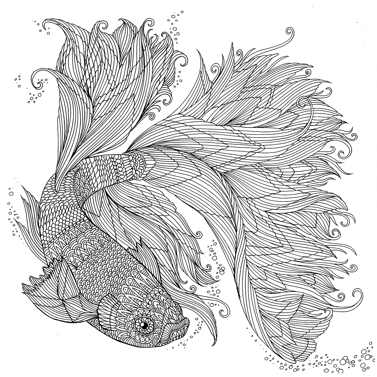 1220x1220 Japanese Fighting Fish