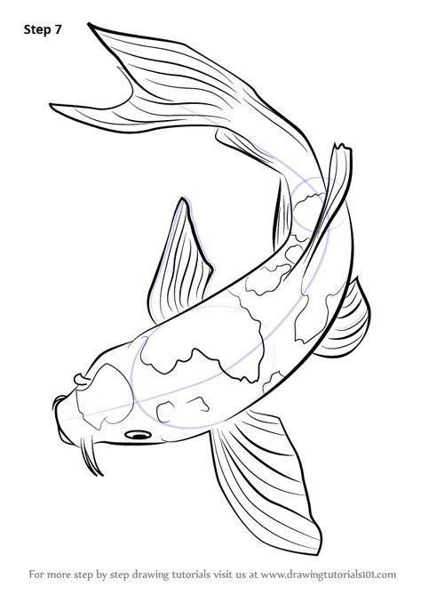 474x669 Step By Step How To Draw A Koi Fish
