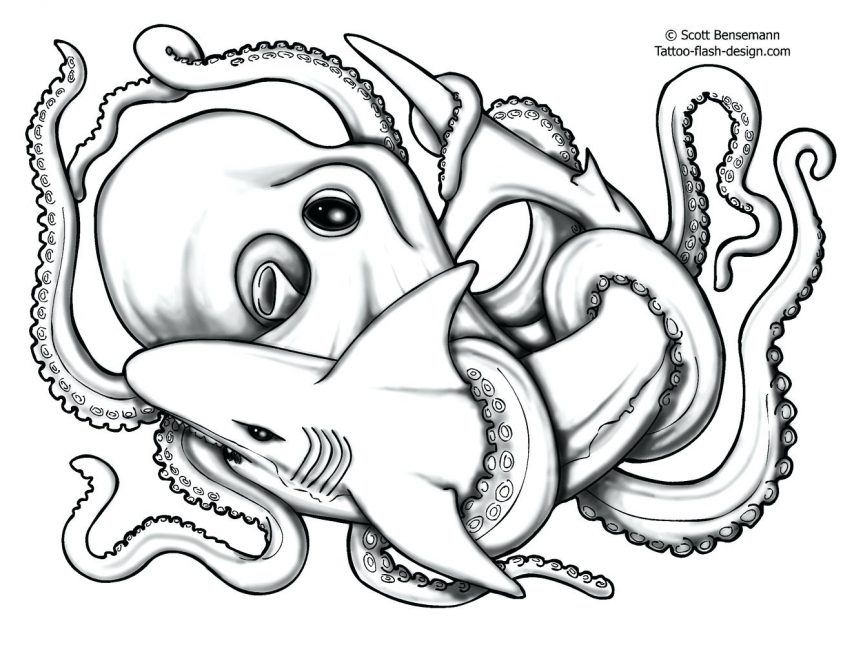 863x645 All Images To Grey Fish And Octopus Tattoos For Men Koi Outline