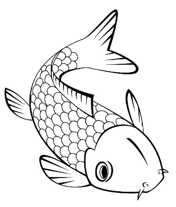 600x707 Koi Fish Coloring Pictures Koi Fish Colouring Pictures