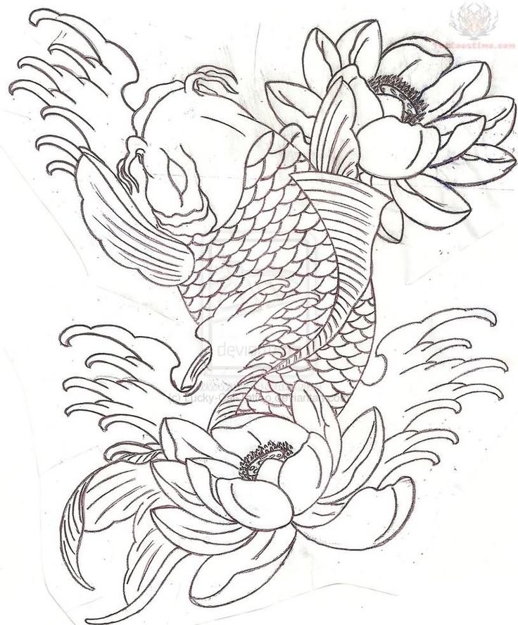 Japanese Fish Drawing at GetDrawings | Free download