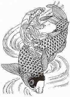 233x321 Drawn Koi Carp Japanese