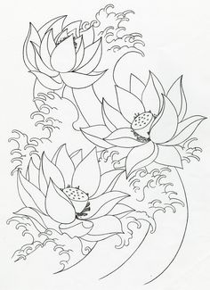 236x325 Lotus Flowers Drawings
