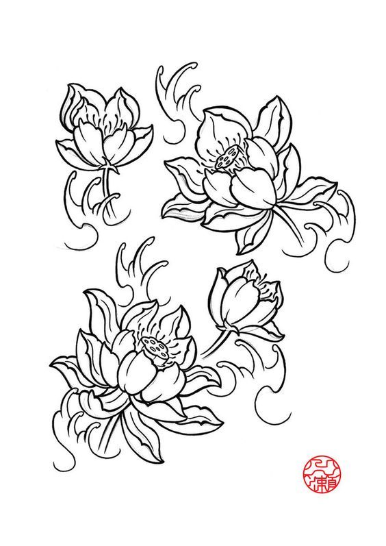 564x797 The Best Japanese Lotus Ideas On Koi Tattoo Sleeve