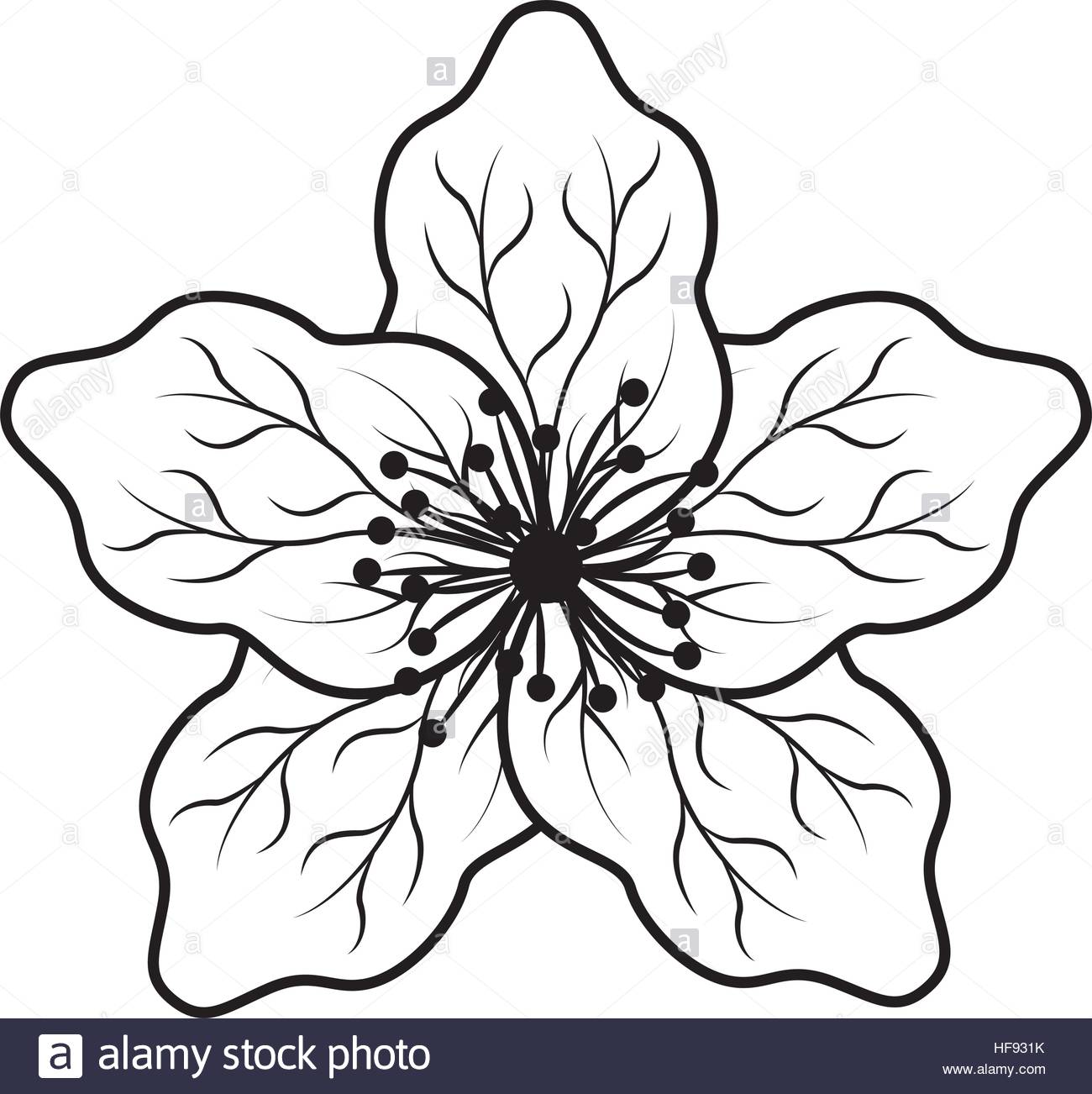 1300x1302 Cute Japanese Flower Icon Vector Illustration Design Stock Vector