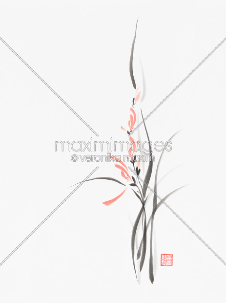 463x620 Stock Illustration Elegant Light Coral Red Orchid Flowers