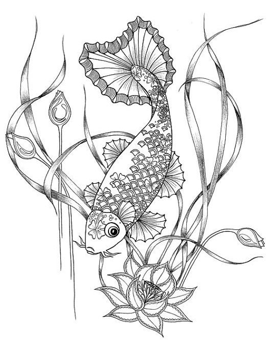 547x674 Koi Carp Fish Coloring Pages