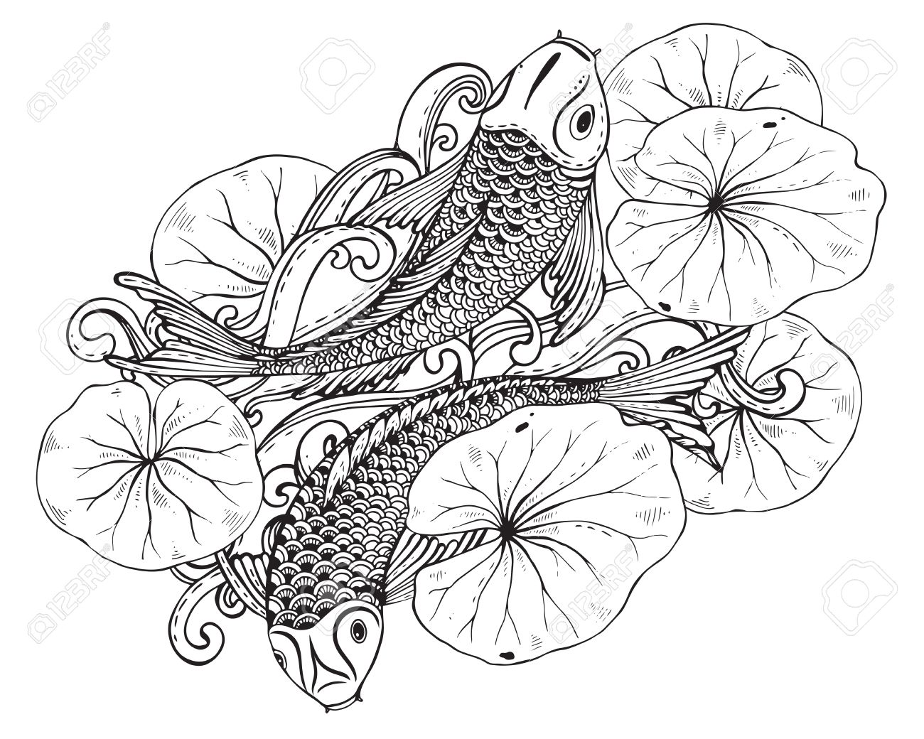 1300x1040 Hand Drawn Vector Illustration Of Two Koi Fishes (Japanese Carp