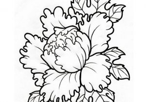 300x210 Japanese Flower Drawing Japanese Lotus Flower Drawing Drawn Lotus
