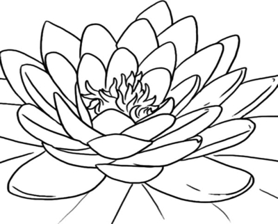 400x322 Lotus Flower Coloring Page Buddha Sheet Pages