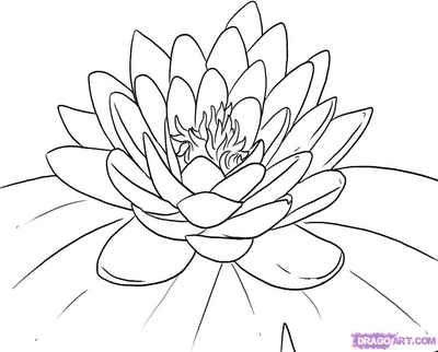 400x322 Water Lily Coloring Pages Pad Page