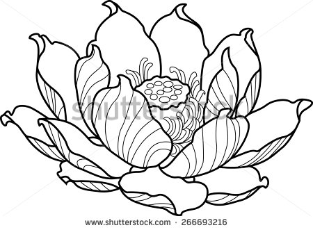 450x331 Black Silhouette Outline Lotus. Vector Tattoo Illustration
