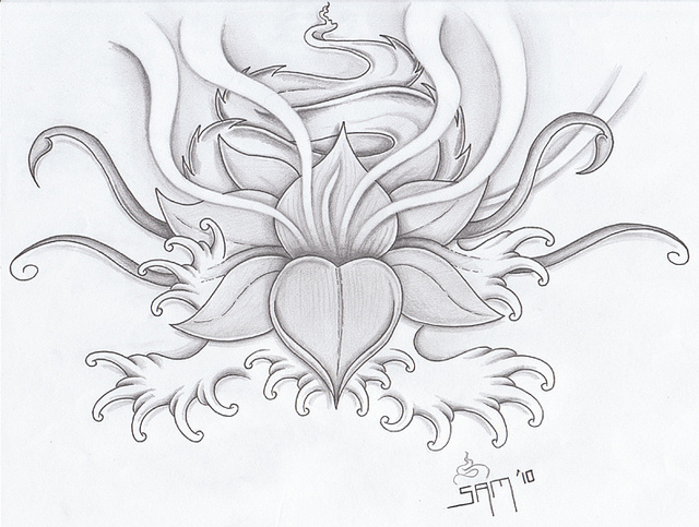 640x483 Drawn Elower Lotus Blossom