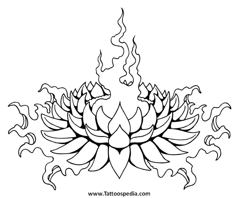785x650 Images Japanese Lotus Flower Outline