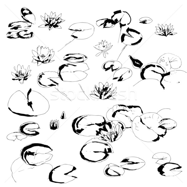 600x600 Lotus Flower Set Vector Illustration Ievgeniia Mukhamet (Jet