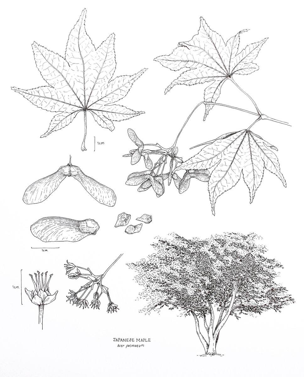 968x1200 Nsi Portfolio Madison Erin Mayfield