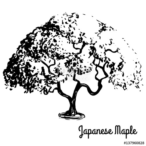 500x500 Vector Sketch Illustration. Black Silhouette Of Japanese Maple