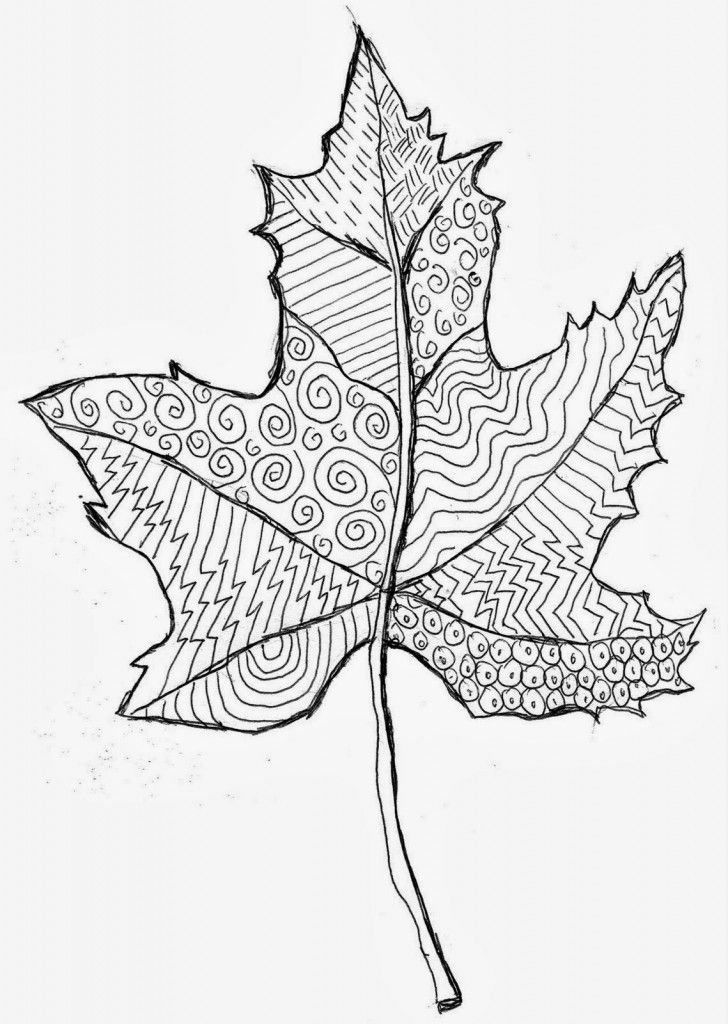 728x1024 Drawn Leaf Leaf Art