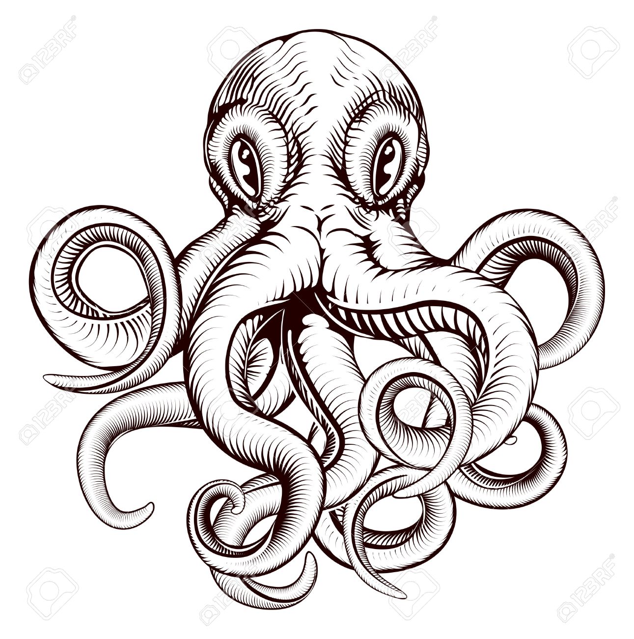1291x1300 18,292 Octopus Stock Vector Illustration And Royalty Free Octopus