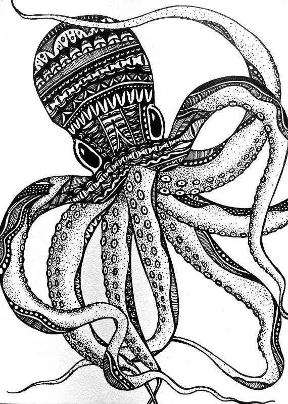 570x798 Octopus Print Zentangle Octopus Drawing Art Prints Black