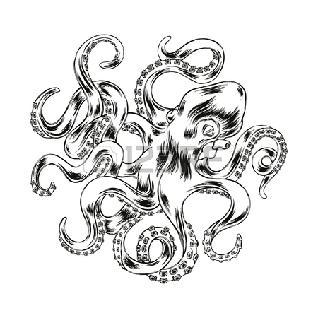 450x450 An Original Octopus Or Squid Tattoo Illustration Concept Design