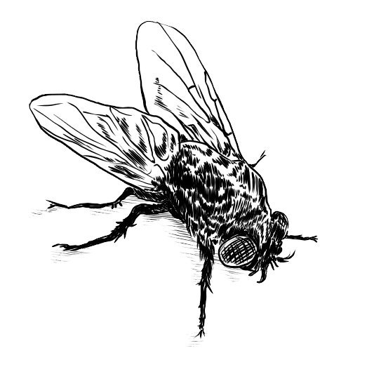 533x533 Oni Mask Pin Shrinky Dinkredjapanesepin