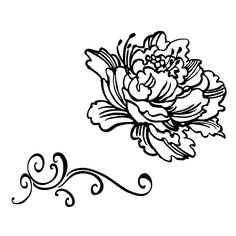 236x236 Japanese Peonies Clipart