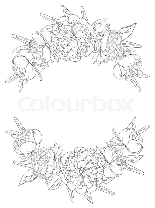 598x800 Spring Summer Peony Rose Blooming Flowers Vintage Border Frame