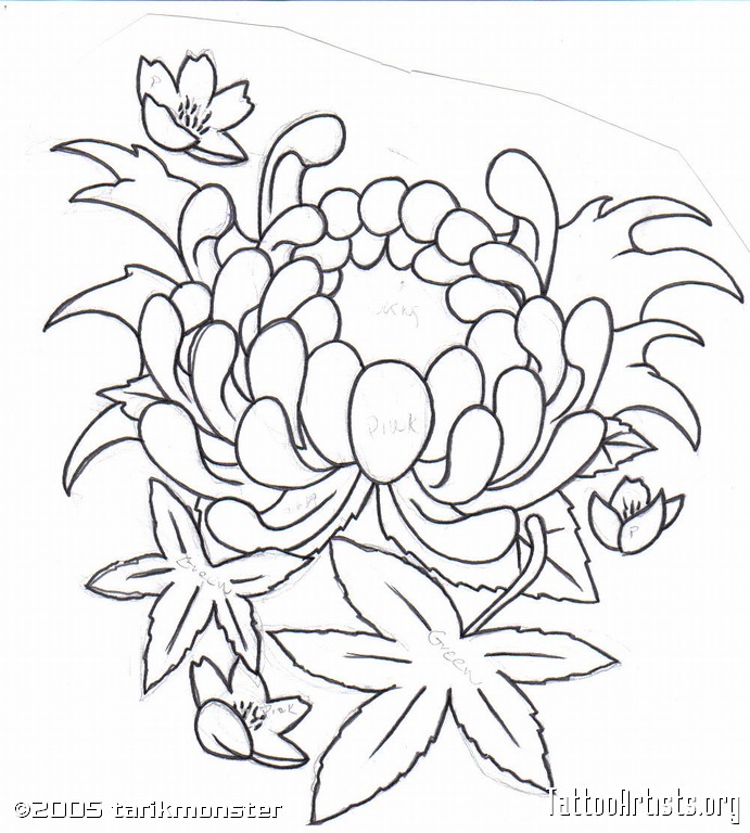 691x768 Flowers Sketches