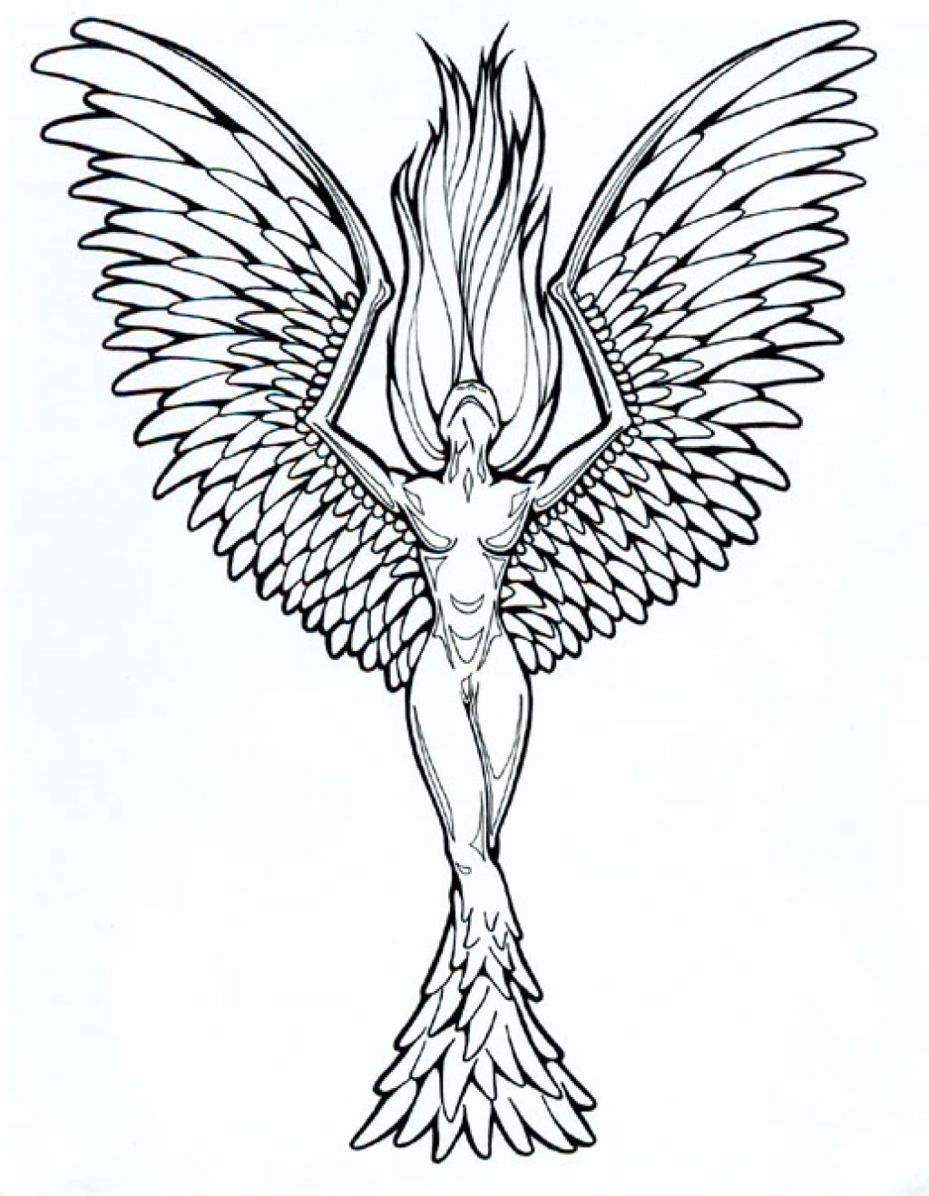 1024x1319 Japanese Phoenix Tattoo Designs Drawing