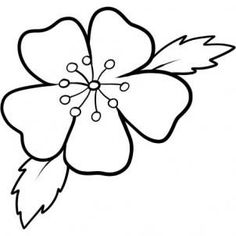 236x236 Easy To Draw Cherry Blossoms How To Draw Blossoms Step 7