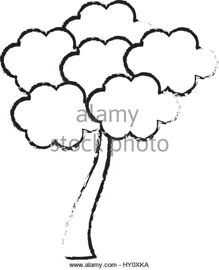 438x540 Sakura Black And White Stock Photos Amp Images