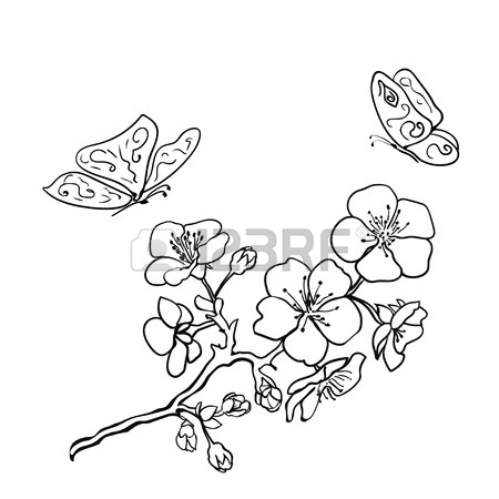 450x450 Cherry Blossom Japanese Sakura Vector Icon Set. Nature Japanese