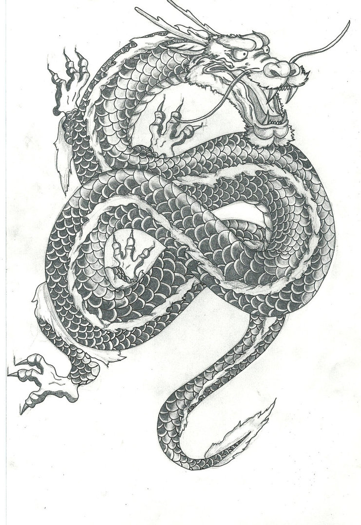 741x1078 Japanese Style Dragon By Memo1563