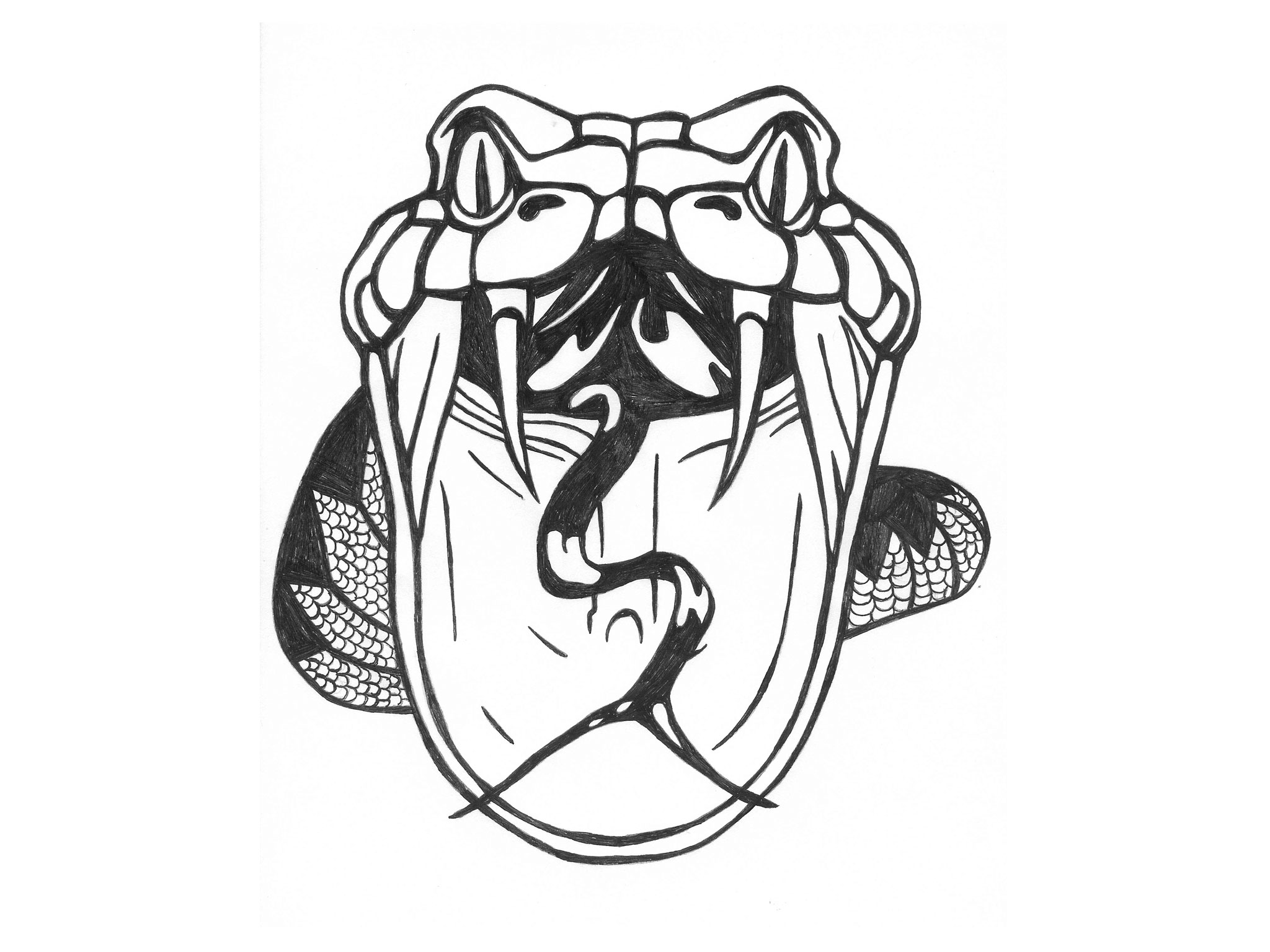 2048x1536 Collection Of Snake Knot Tattoo Design