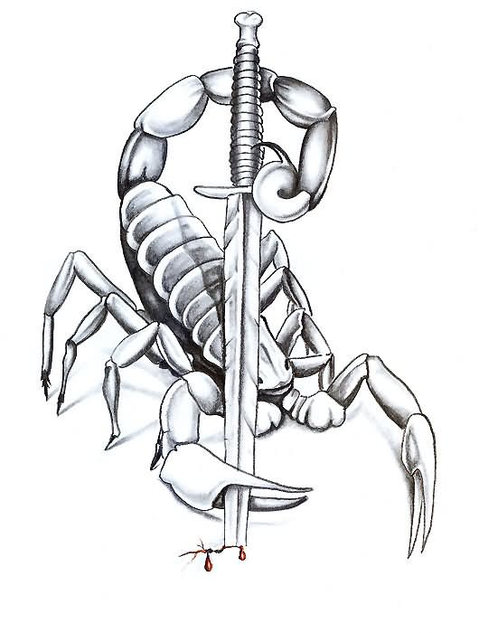 530x700 Scorpion With Sword Tattoo Design