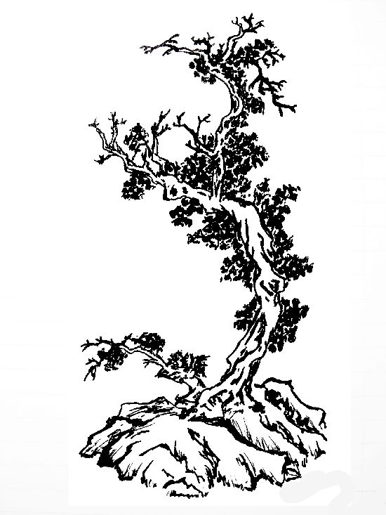 550x733 Japanese Tree By Jingpinglingting