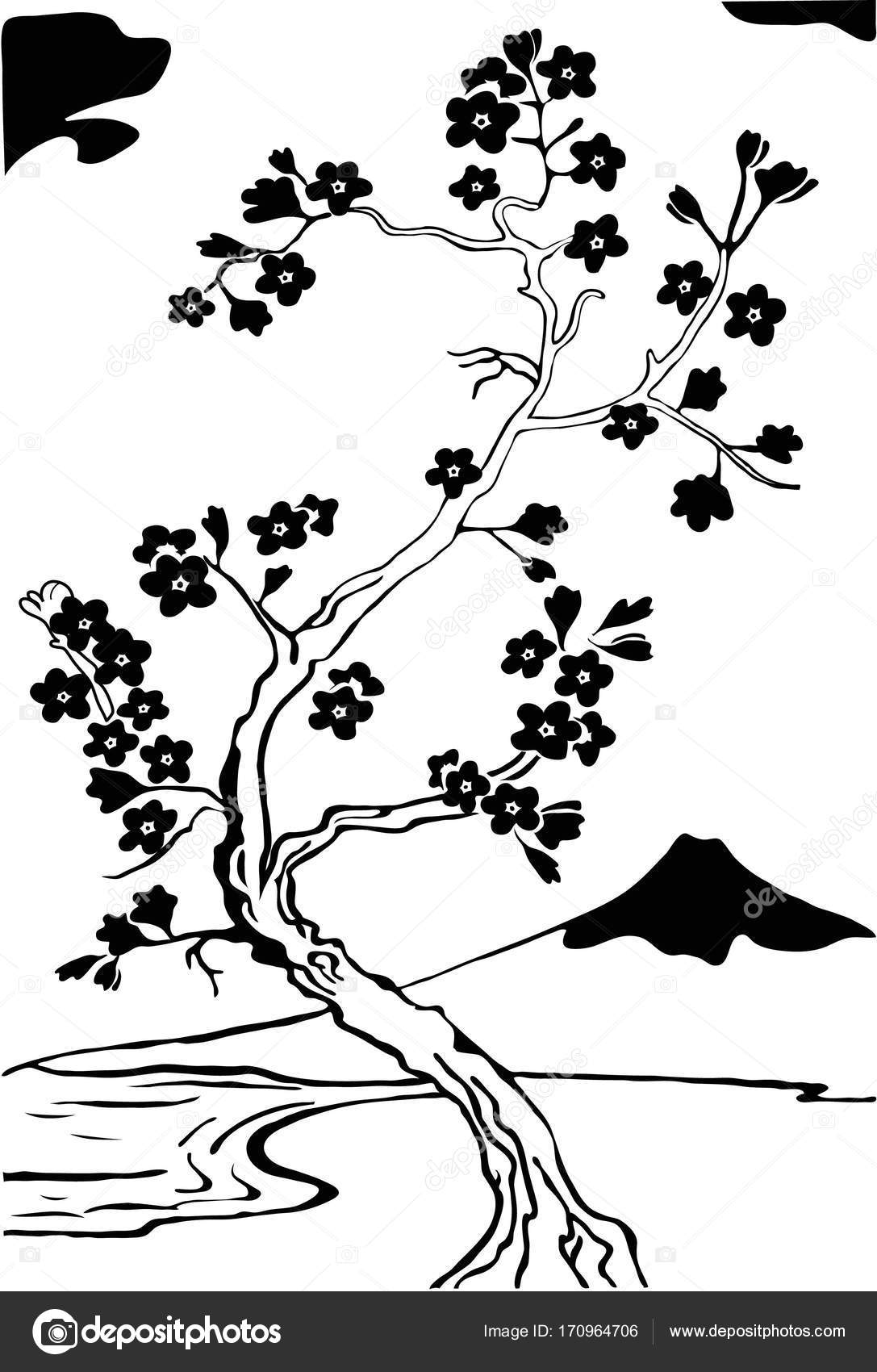 1087x1700 Japanese Cherry Tree. Sakura. Stock Vector L Nino