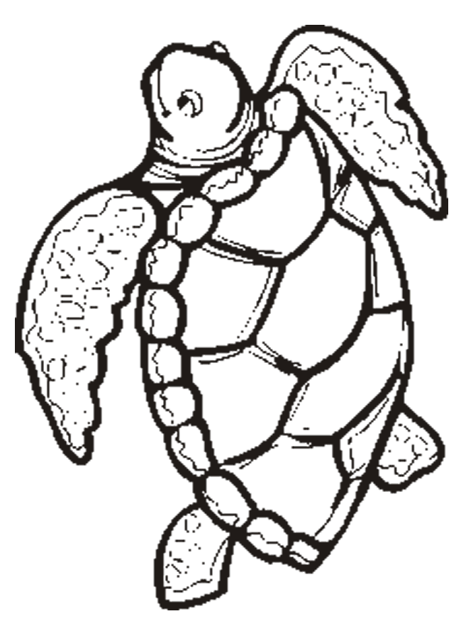 650x900 Rules Of The Jungle Turtle Pictures To Print And Color