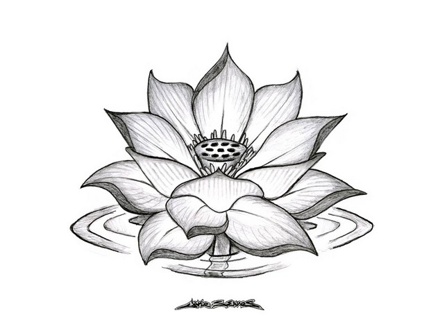 621x480 Japanese Lotus Flower Tattoo 3110.jpg Tattoos