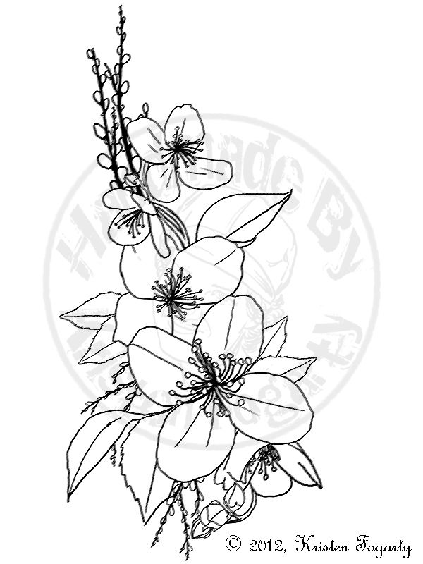 600x800 Jasmine Flower Drawings Related Keywords Amp Suggestions
