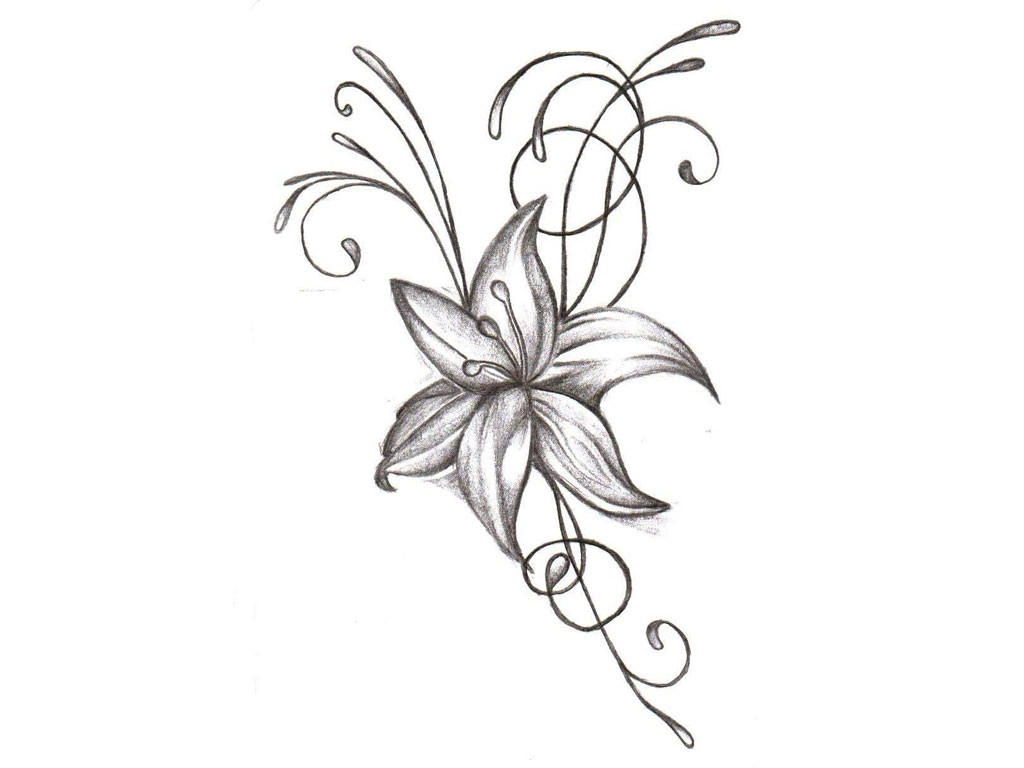 1024x768 Jasmine Flower Tattoo Design Flower Tattoo Drawing 1000 Images