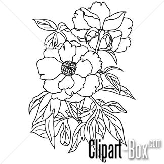 324x324 Sketch Clipart Flower Design