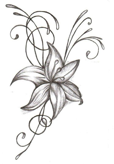 Jasmine Drawing Flower at GetDrawings | Free download