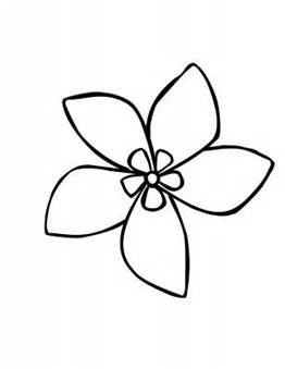 262x339 Drawings Of Flowers, Jasmine