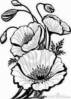 235x328 Jasmine Flower Drawing