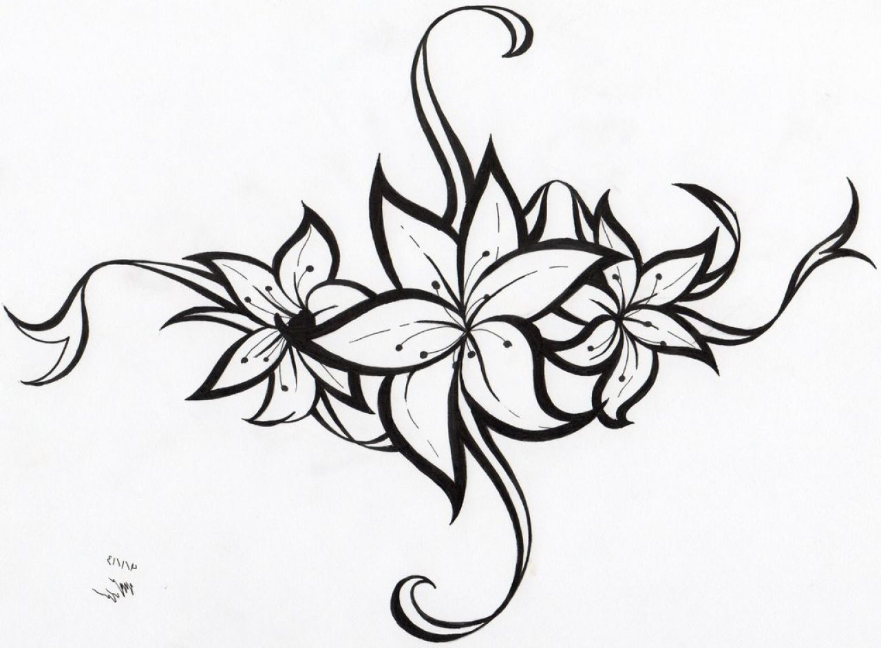 1280x941 Drawing Flower Tribal
