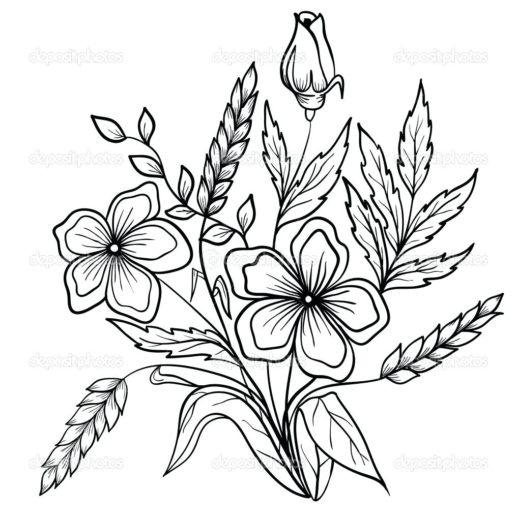 1016x1023 Flower Outlines Printable For Coloring Outline Of Page Flowers
