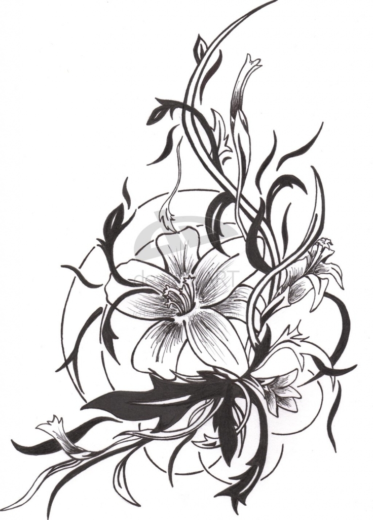 736x1024 Flower Tattoo Drawing 1000 Images About Tattoo