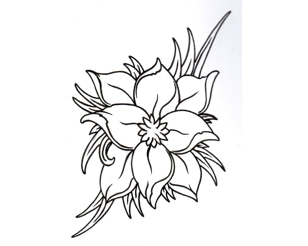 Jasmine Flower Drawing Tattoo at GetDrawings | Free download